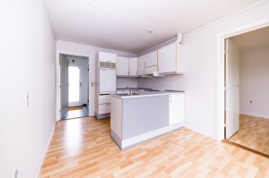 Room+kitchen 
